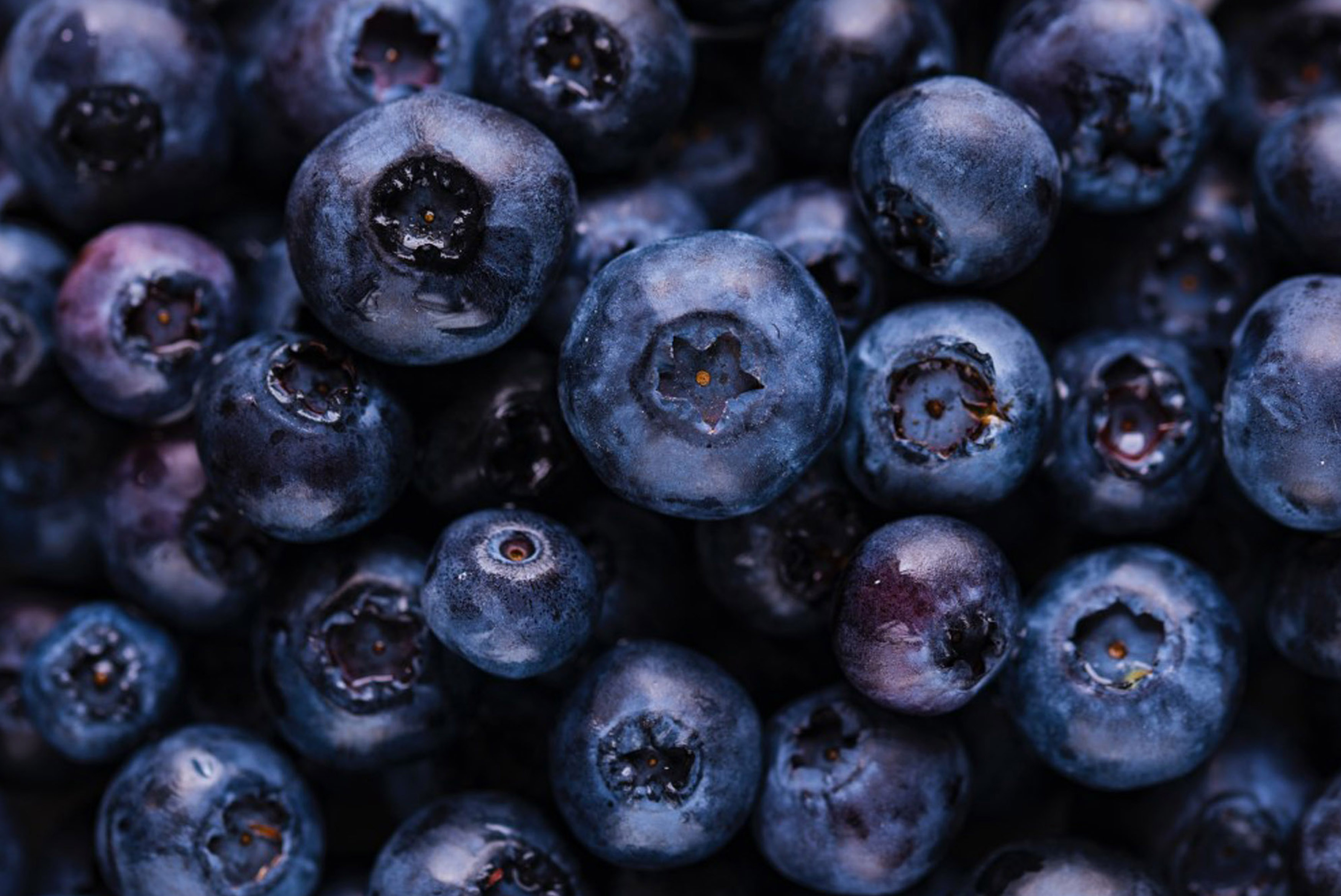 blueberries